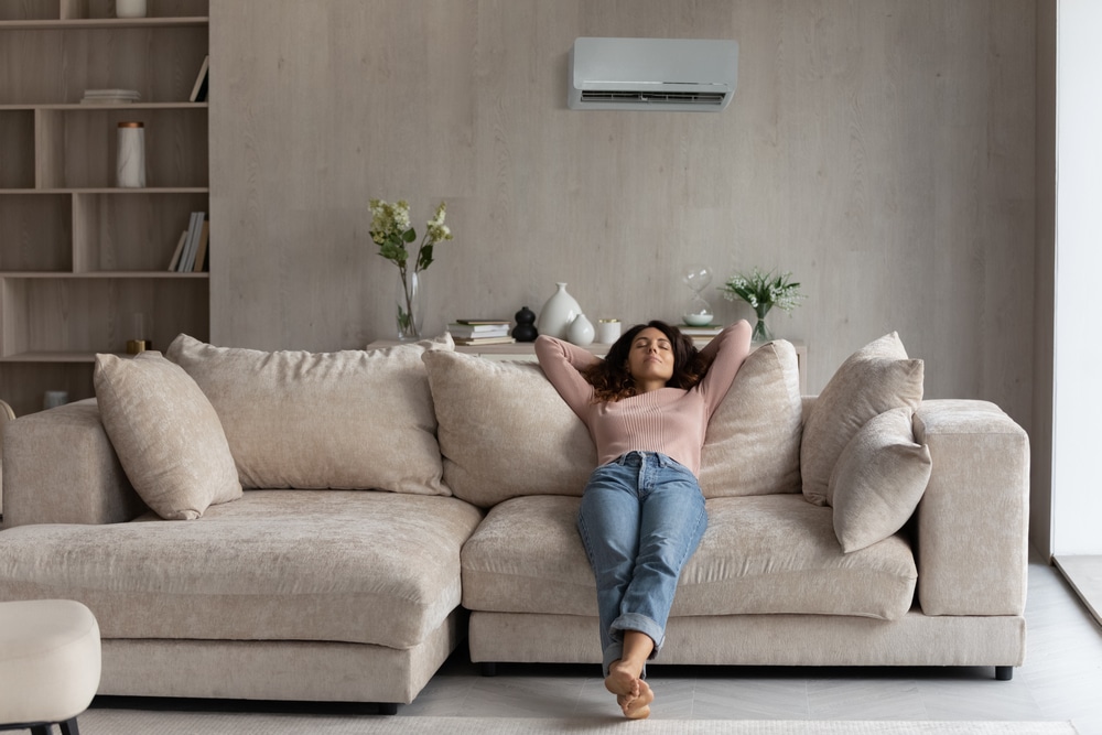 Understanding the Importance of Indoor Air Quality (IAQ) blog header image